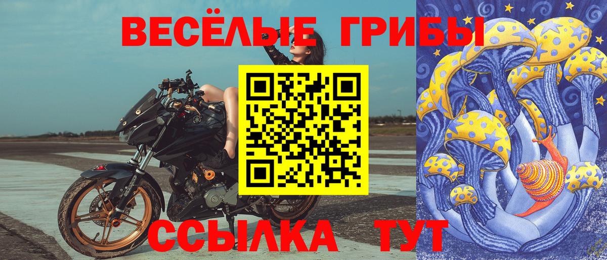Знаменск  Галлюциногенные грибы GOLDEN TEACHER  Вход с VPN 