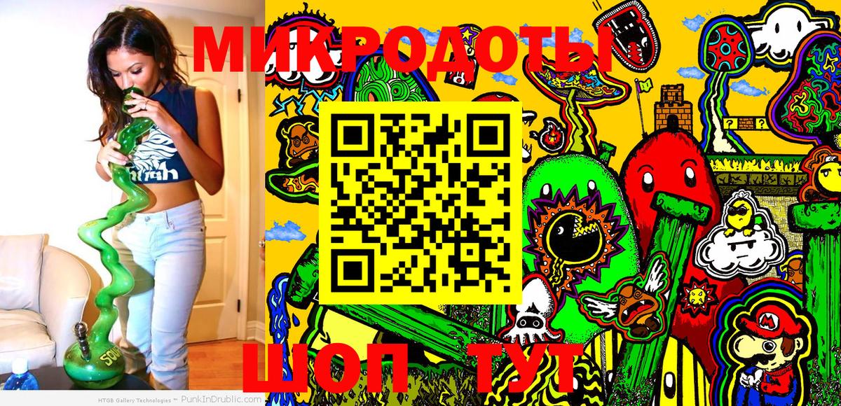 Псилоцибиновые грибы Psilocybe Знаменск